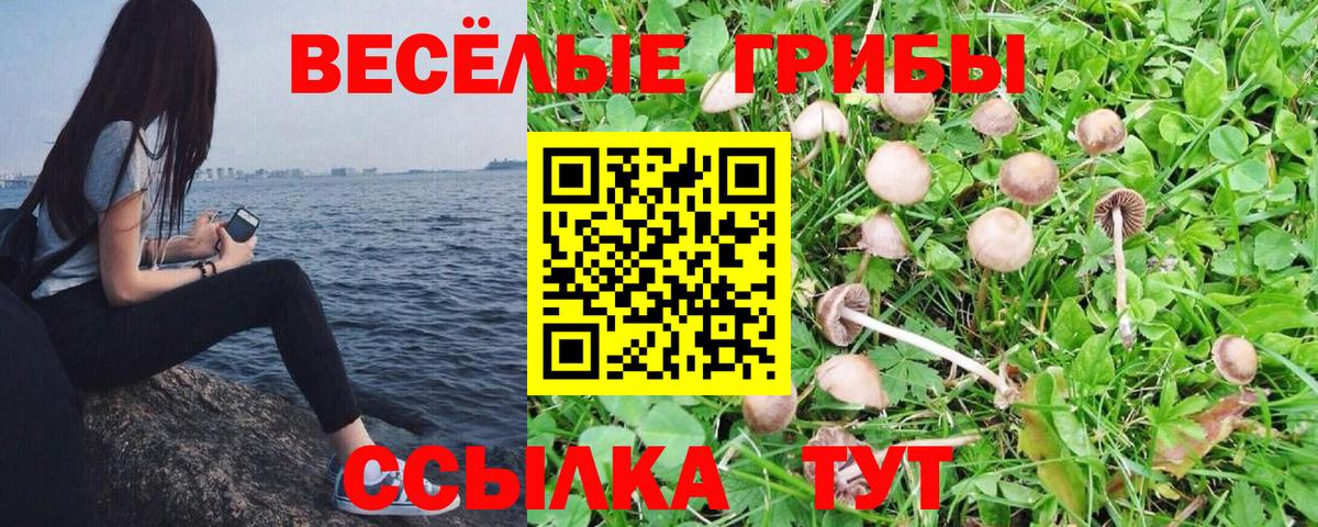 Галлюциногенные грибы GOLDEN TEACHER Барнаул